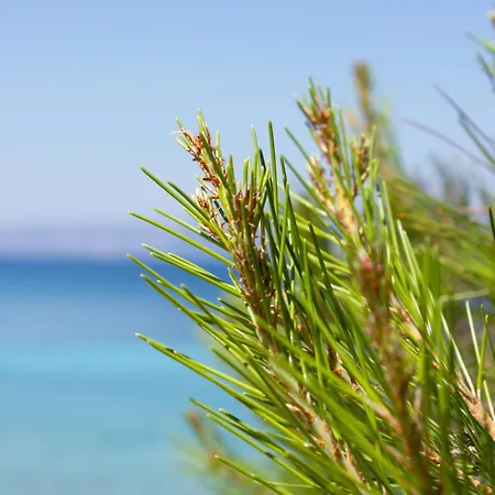 Vela Vala Vela Luka