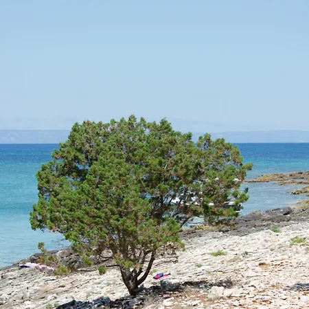 Apartment Vela Vala