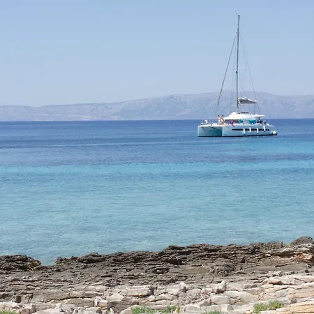 Vela Vala