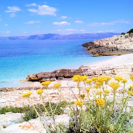 Vela Vala