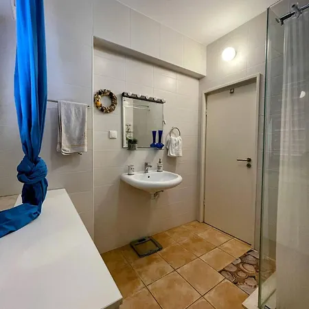 Apartment Vela Vala